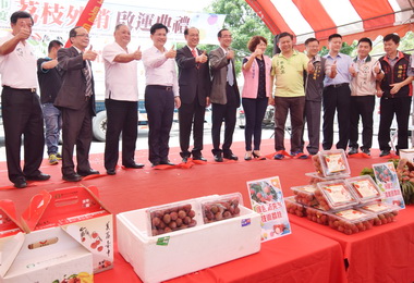 產官學合作外銷荔枝林佳龍：推行世界(圖)