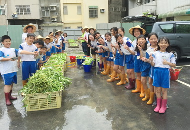 開心農場與烏日國小合種蔬菜義賣(圖)