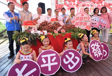 太平荔枝節啟動 農會推出巴士遊程(圖)