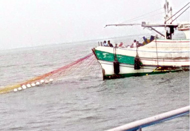 台中海巡隊查緝近海違規濫捕(圖)