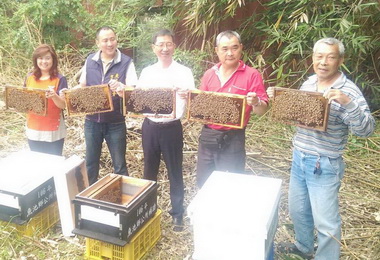 魚池頭社武登區進行絲瓜花期授粉(圖)