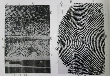 假車禍真搶奪嫌犯逃16年仍被逮(圖)