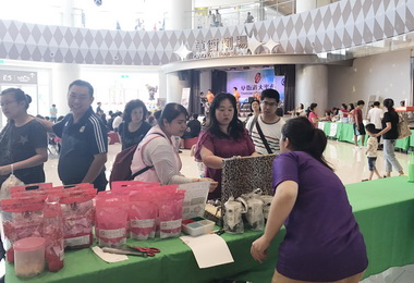 唐氏症公益園遊會草衙道溫馨開辦(圖)