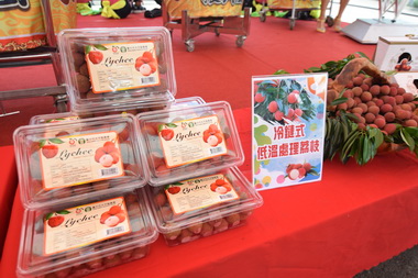 「黑葉荔枝」試銷汶萊(圖)