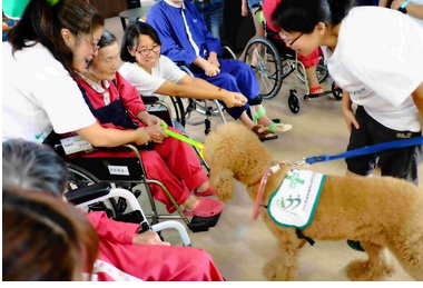 啟動高齡照護治療犬訪仁馨樂活園區(圖)