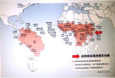 旅遊醫學門診，安心探索世界脈動(圖)