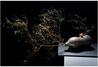 陶你花心-花陶創意生活展(圖)