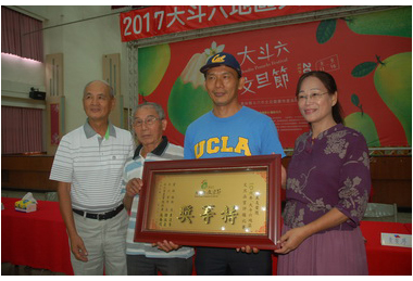 斗六文旦評鑑林辛煌有機栽出特等獎(圖)