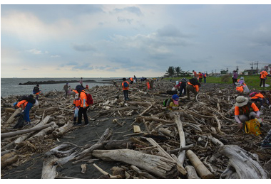 海洋局辦淨灘守護海洋(圖)