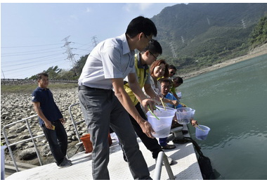 台電明潭發電廠下池水庫魚苗放流活動(圖)