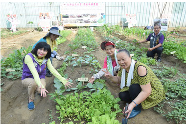 「長者快樂農園」成果發表會(圖)