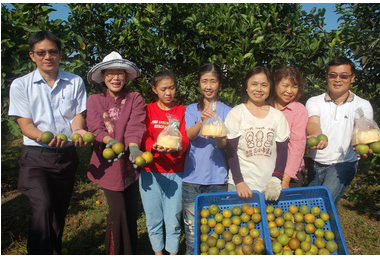 健康柳丁當食材 聲暉烘焙幸福味(圖)