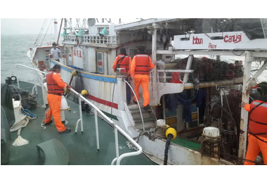 台中海巡白沙屯外查獲違規捕魚依法究辦(圖)