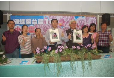 蝴蝶蘭台農1號(小精靈)技轉合作推廣(圖)