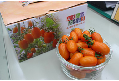 高雄郵局關懷農產行銷「美濃橙蜜香番茄」開賣了(圖)
