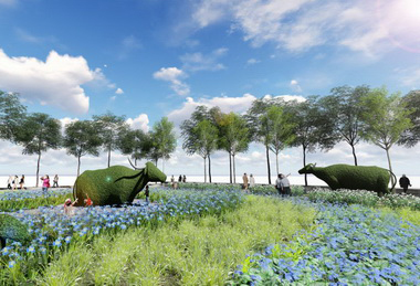 台中市建設局打造清水福牛花海(圖)