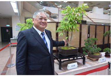 荔枝產業新創意 荔枝盆栽藝術化(圖)