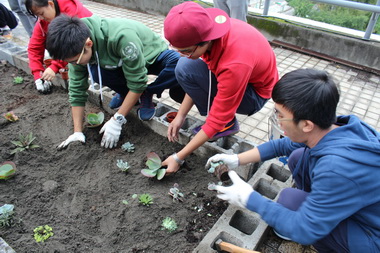 落實永續城市與環保概念學生動手蓋綠屋頂(圖)