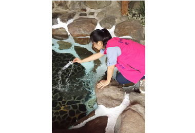 中市抽驗全市溫泉水質總菌落數及大腸桿菌數全數合格(圖)