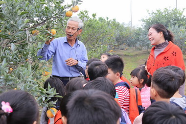 斗六辦茂谷柑生態教學(圖)