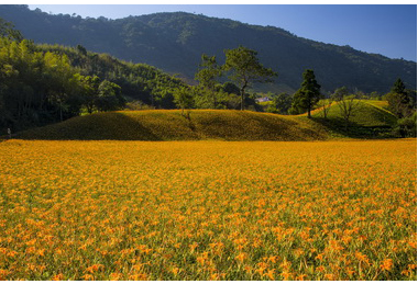 台灣生態之美景攝影聯展即日展出(圖)