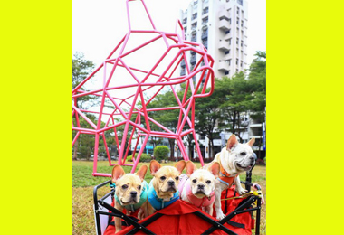 二公尺高法鬥犬裝置藝術驚豔登場(圖)