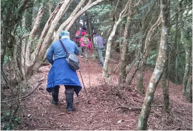 母子登山迷途和平警助脫困(圖)