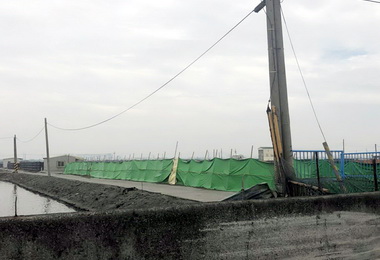 強烈大陸冷氣團來襲 海洋局：養殖業注意防寒(圖)