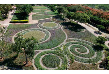 花毯節突破一百二十五萬參觀人次(圖)