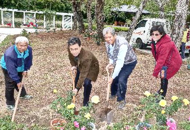 澄清湖花盛開水公司邀民眾共賞(圖)