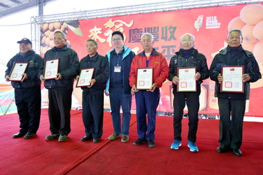 太平區歡慶農民節(圖)