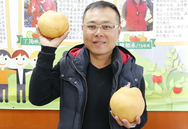 模範青農陳郁承  種梨山雪梨有成(圖)
