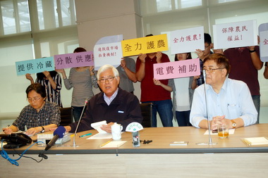 為菜農找活路雲縣提三方案降低損失(圖)