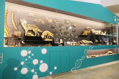 興大生科院生態櫥窗落成 成新亮點(圖)