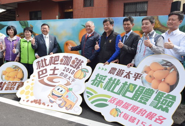 太平枇杷活動正式開跑(圖)