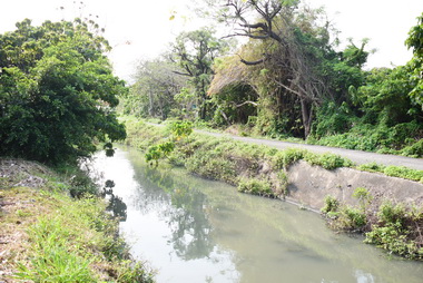 鹿港溪再現動土鹿港國家歷史風景區啟航(圖)