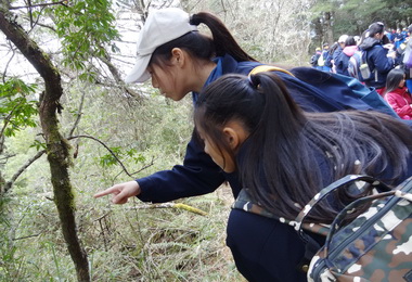 玉山園區春季景致值得探訪(圖)