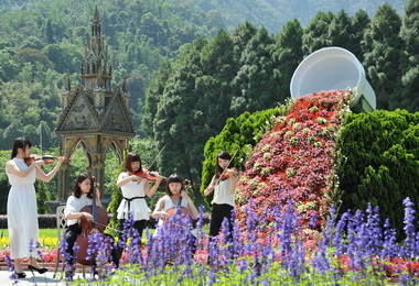 九族薰衣草花海 美不勝收(圖)