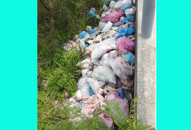 廢棄物入侵公園議員：研擬治本之道(圖)