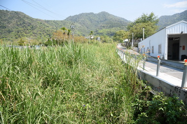林明溱勘查福興農場附近野溪確保安全無疑(圖)