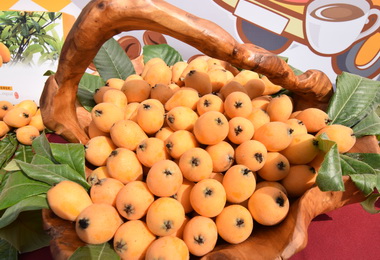 台中枇杷質優力拚外銷(圖)