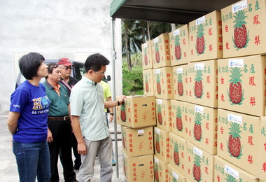 台東鳳梨裝櫃首站啟航無錫(圖)