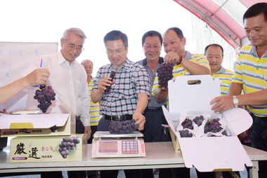 大村葡萄盛產物美價廉(圖)