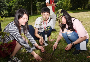 中彰投苗聯辦單身聯誼浪漫破表(圖)