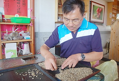 古坑嵩岳咖啡莊園種出亞洲第一咖啡豆(圖)