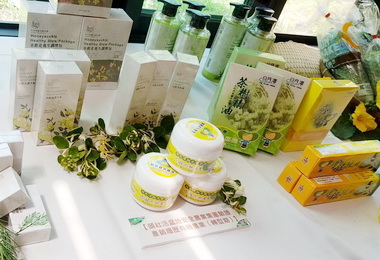 頭社絲瓜野餐趣體驗悠閒農田野餐日(圖)