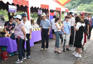 水里葡萄節熱鬧登場(圖)