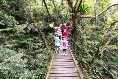 大板根推出父親節＆七夕情人節專案活動(圖)