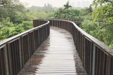 澄清湖打造景觀木棧道新亮點(圖)