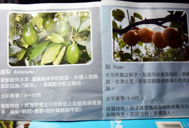 太平水果新秀酪梨‧梨驚艷上市(圖)